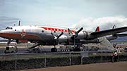 l1049-7t.jpg