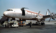 l1049_8t.jpg