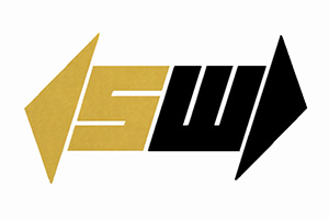 w307bg.jpg
