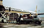 as_efs402t